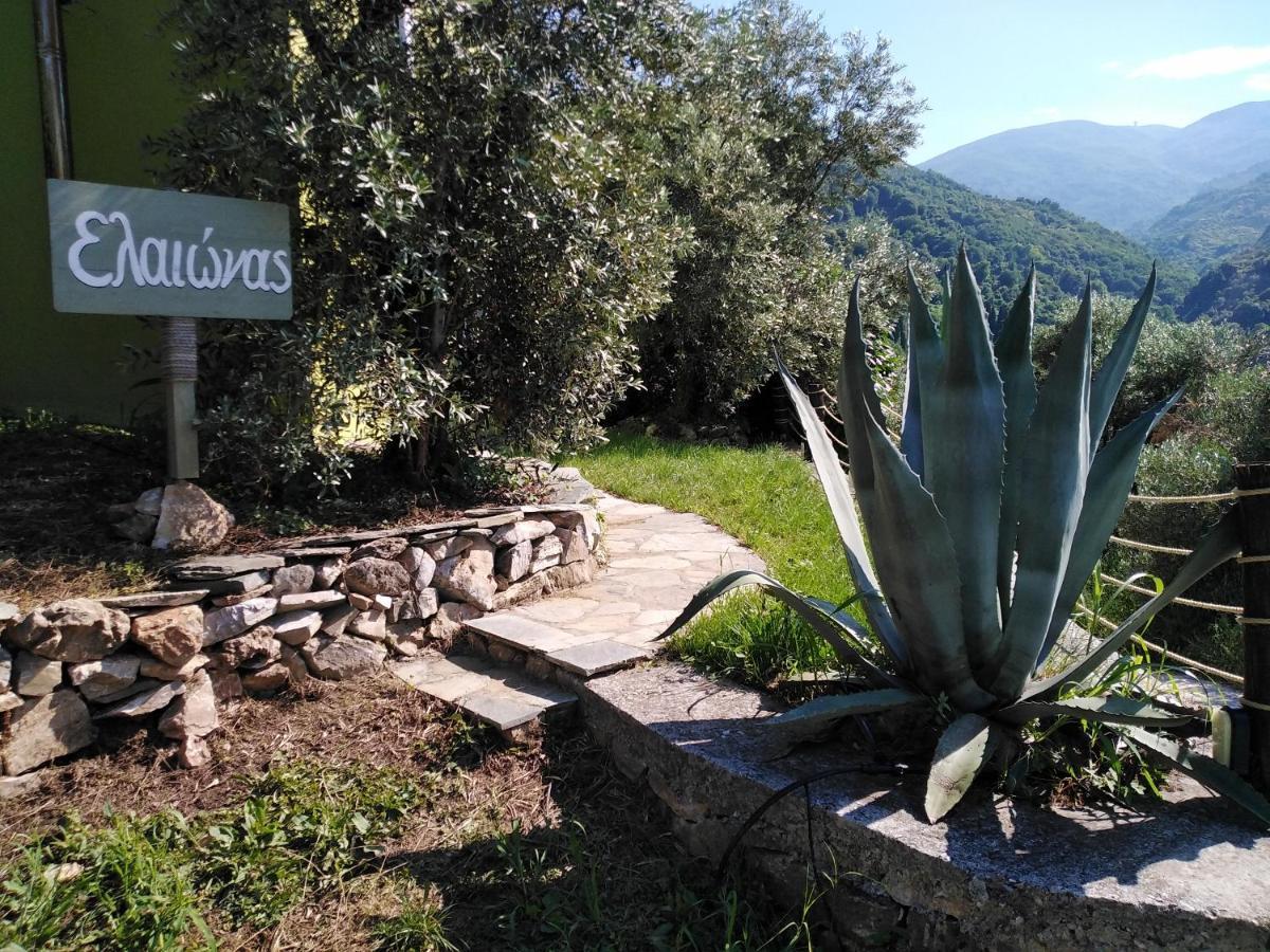 Villa Ελαιώνας - Solar Energy House Chorefton Esterno foto