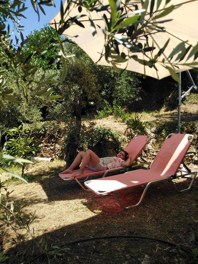 Villa Ελαιώνας - Solar Energy House Chorefton Esterno foto